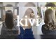 キヴィ(kivi)の写真