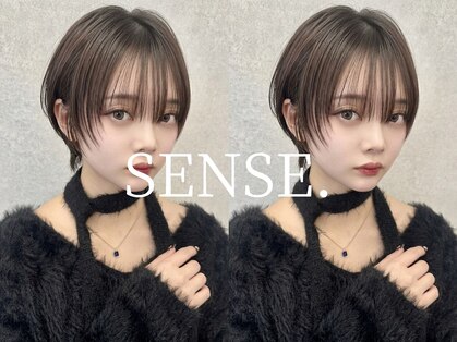 センス(SENSE.)の写真