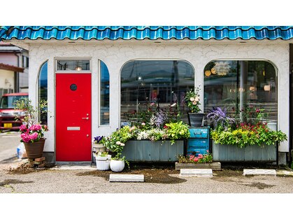 アンディーの写真