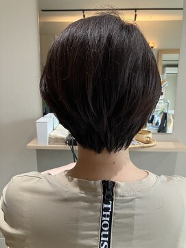 本と南風 guest design