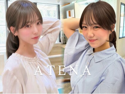 アテナ(ATENA)の写真