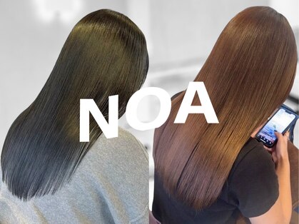 ノア(NOA)の写真