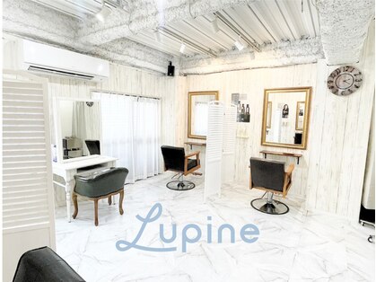 ルピナス(Lupine.)の写真
