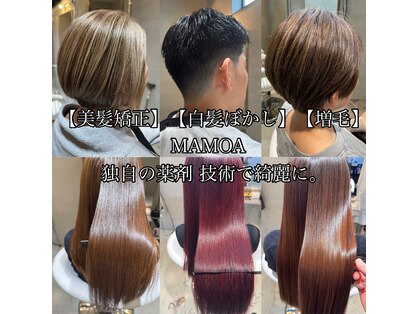 マモア(MAMOA)の写真