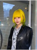 Dandelion roots   yellow×light green