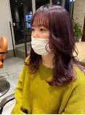 ピンクラベンダー