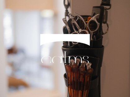 カームス(calms)の写真