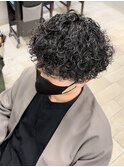 【GROOMERS 稲田】 プードルパーマ スタイル スペインカール