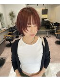 欲張りさんボブウルフ