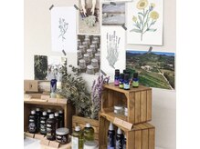 ボタニカル(Botanical)の雰囲気（VEGAN オーガニック製品で髪と頭皮に優しい施術を◎）