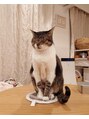 ラテルネ 名駅店(Laterne) 愛猫のゆずちゃん