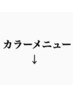 ここから下は【カラーメニュー】