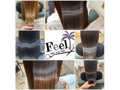 フィール(Feel)の写真