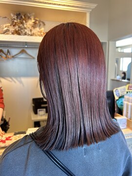 ペッツショコラ(PETZ chocolat) ツヤっとボブ♪大人気!バイオレットピンク