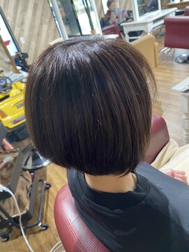 ルネッサンスヘアー ラファエロ(RAFFAELLO) アッシュブラウン