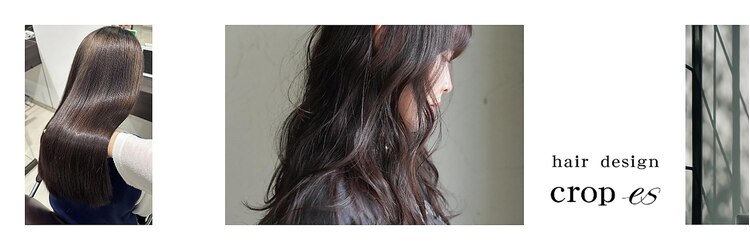 クロップ エス 茅ヶ崎本店(crop es)のサロンヘッダー