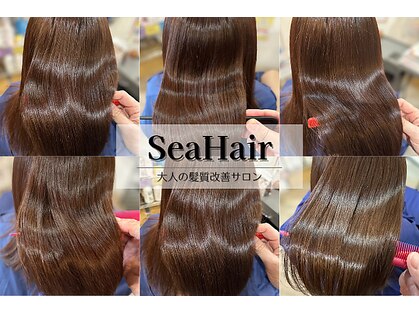 シーヘアーの写真