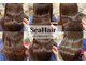シーヘアーの写真