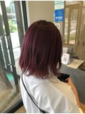 ピンクラベンダー