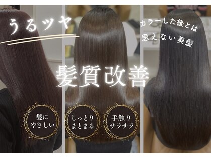 ソレイユ(Soleil)の写真