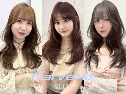 パーヴミックス アリー(Parve Mix ALLY)の写真