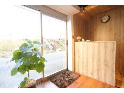 アリア(ARIA)の写真