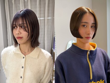 シプレ(cipre)の写真