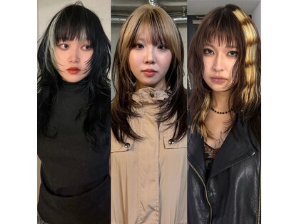 ノラ シンディ(NORA CYNDY)の写真