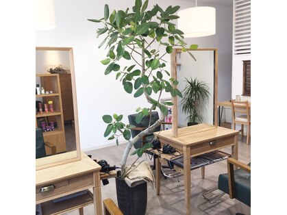 ツクル(TSUKURU)の写真