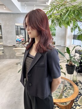 アペット(Appet) レッドカラー/ミディアムヘア