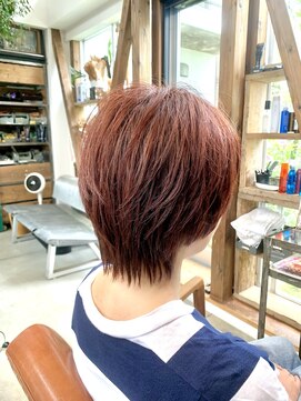 トランク(TRUNK) マッシュウルフ