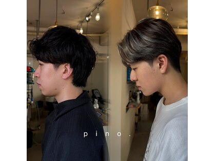 ピノ(pino.)の写真