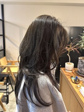 プール(POOL) ハッシュカット/オリーブグレージュ