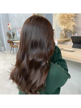 ヴェーレン(Wehlen) ブラウン