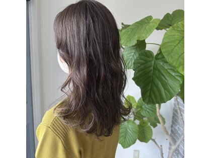 ロッタ(Lotta)の写真