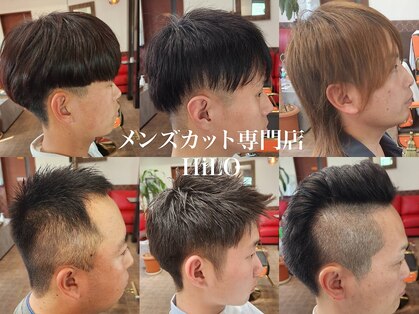 ヒロ(HiLO)の写真