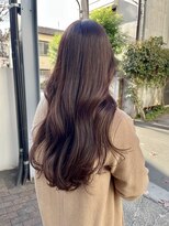 グレイスアベニュー(Grace Avenue)&nbsp;【ココアブラウン】