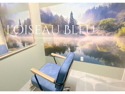 ロアゾブルーミュージアム(L'oiseau Bleu museum)の写真