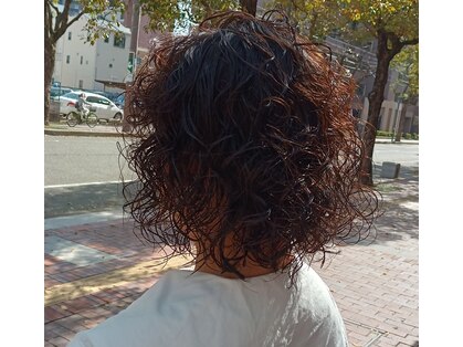 ヘア ニニ(Hair 22)の写真