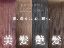 ルーチェ バイ エルベ(Luce by elve)