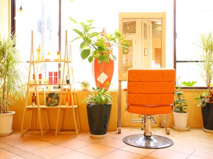 ヘアメイク ラ クーニャの写真