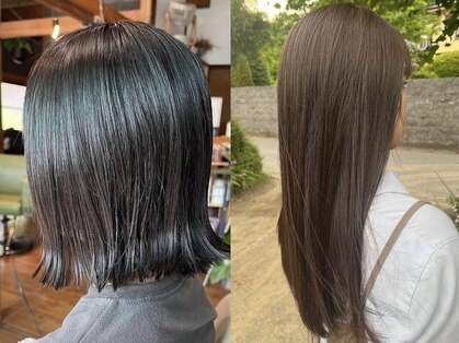 ヘチリコ(hechiriko)の写真