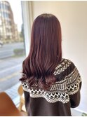 【 レッドブラウン 】