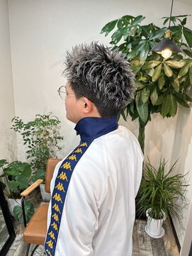 ピッキー(PICKY) ハイライトカラー