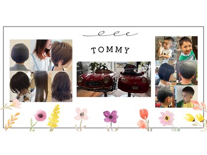 トミー(TOMMY)の写真