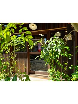 【山口ゆめタウン近く】温かい接客と″ほっ″とする雰囲気×空間で癒しのサロンタイムを…♪