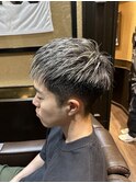 シルバーメッシュ