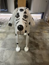 ライズ(rise)&nbsp;rise 