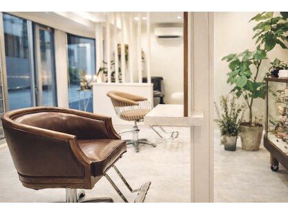 モヨレ(moyole)の写真