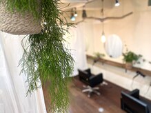 ツタ(tuta)の雰囲気（木の温もりのあふれるサロンでゆっくりした時をお過ごしください）